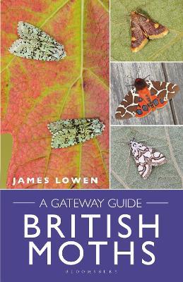 British Moths: A Gateway Guide - James Lowen - cover