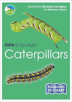 RSPB ID Spotlight - Caterpillars - Marianne Taylor - cover
