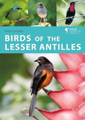 Birds of the Lesser Antilles - Ryan Chenery - cover