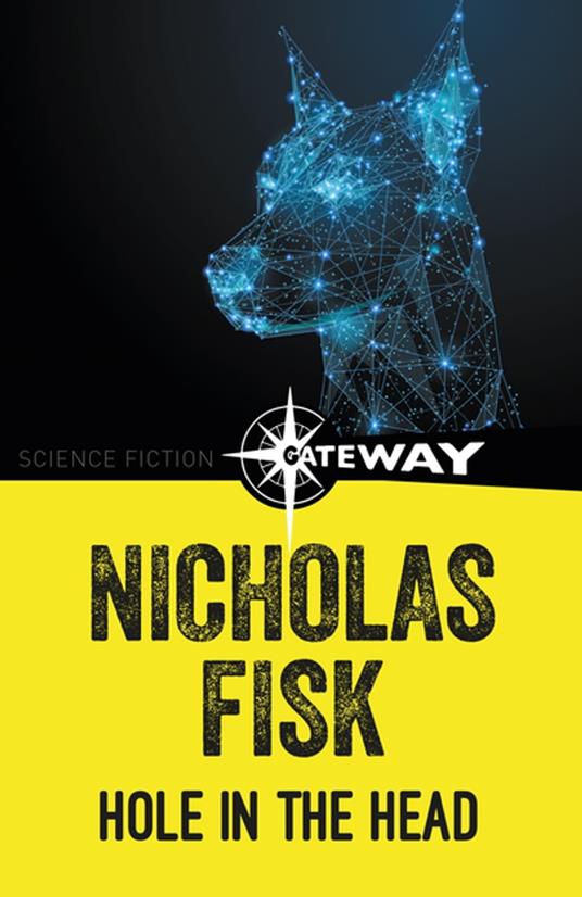 A Hole In The Head - Nicholas Fisk - ebook