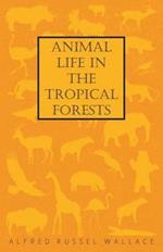 Animal Life in the Tropical Forests