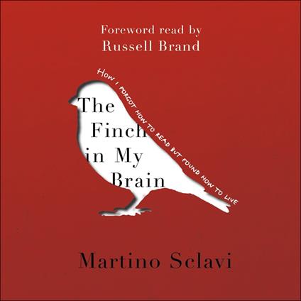 The Finch in My Brain