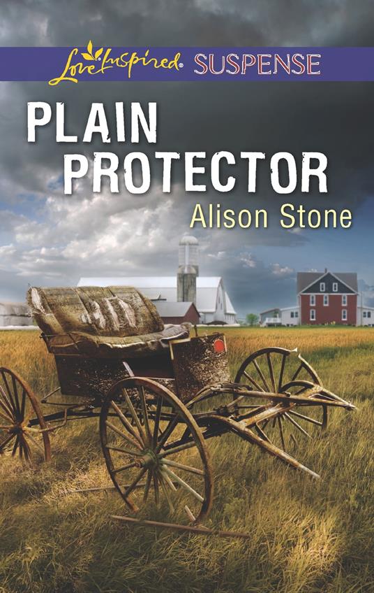 Plain Protector (Mills & Boon Love Inspired Suspense)