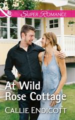 At Wild Rose Cottage (Mills & Boon Superromance) (Montana Skies, Book 2)