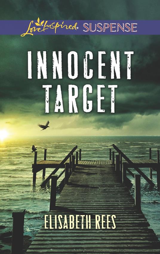 Innocent Target (Mills & Boon Love Inspired Suspense)
