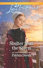 Shelter From The Storm (Mills & Boon Love Inspired) (North Country Amish, Book 1)