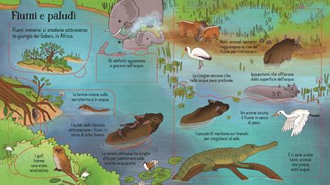 La giungla. Ediz. illustrata - Minna Lacey - 4
