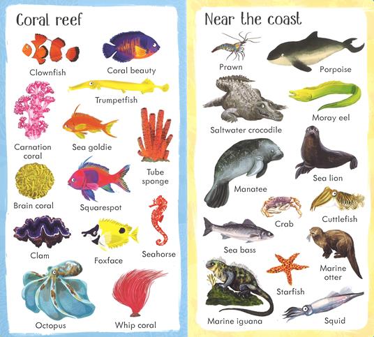 199 things under the sea. Ediz. a colori - Hannah Watson - 3