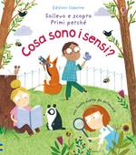 Cosa sono i sensi? Ediz. a colori
