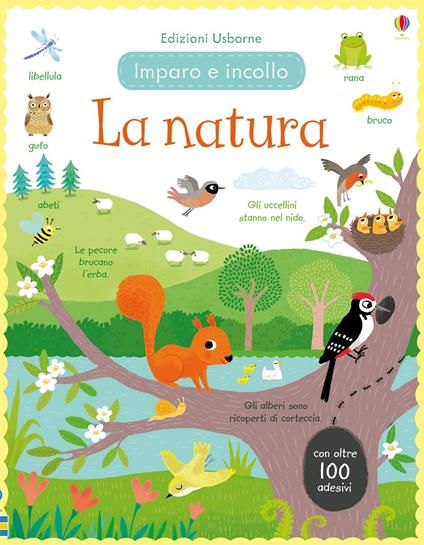 La natura. Imparo e incollo. Ediz. a colori - Felicity Brooks - copertina