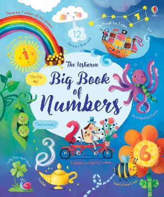 Big book of numbers. Ediz. a colori - Felicity Brooks - copertina