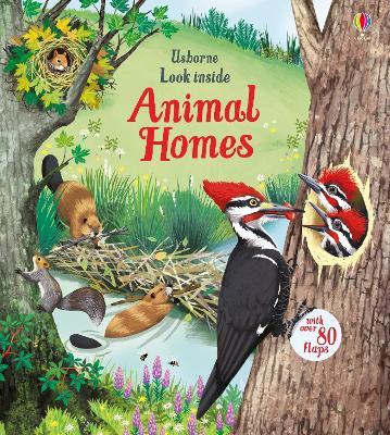 Look Inside Animal Homes - Emily Bone - cover