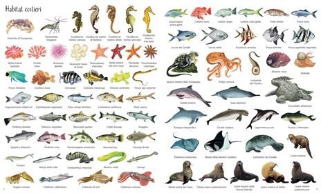 1000 meraviglie dei mari. Ediz. a colori - Nikki Dyson - 2