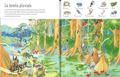 1001 animali da trovare. Ediz. a colori - Ruth Brocklehurst,Susanna Davidson - 3