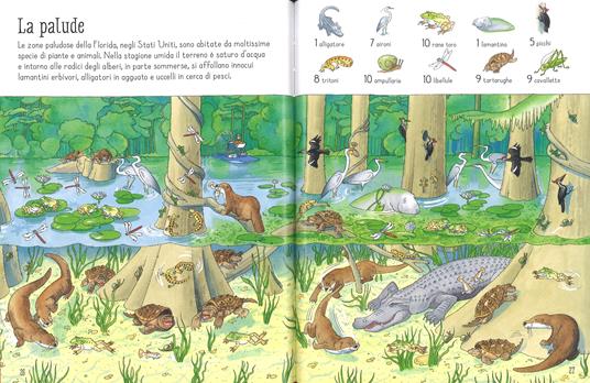1001 animali da trovare. Ediz. a colori - Ruth Brocklehurst,Susanna Davidson - 4