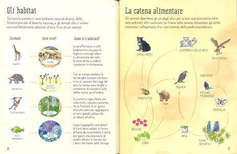1001 animali da trovare. Ediz. a colori - Ruth Brocklehurst,Susanna Davidson - 5