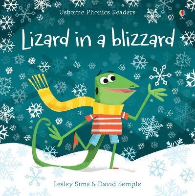 Lizard in a Blizzard - Lesley Sims - cover