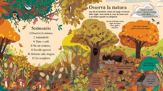 La natura. Libri animati. Ediz. a colori - Minna Lacey - 2