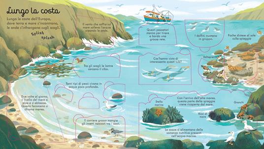 Mari e oceani. Ediz. a colori - Megan Cullis - 2