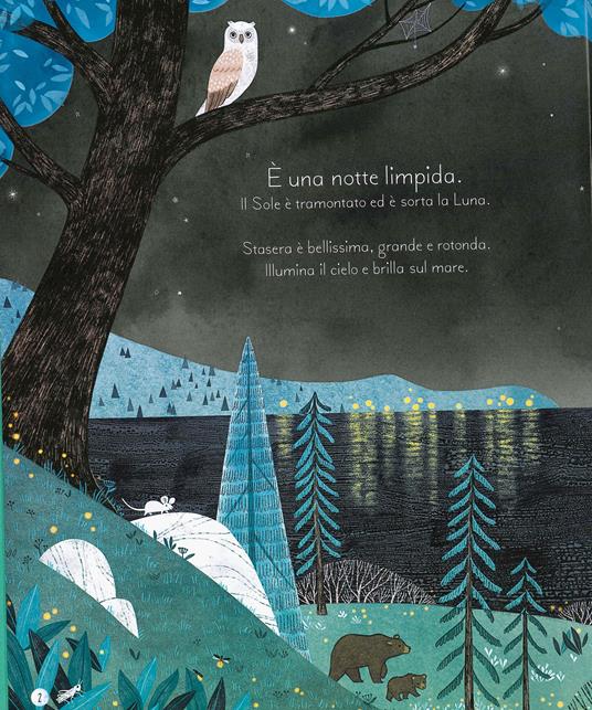 Alla scoperta della luna - Laura Cowan - 2