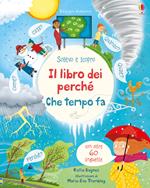 Che tempo fa? Il libro dei perché. Ediz. a colori