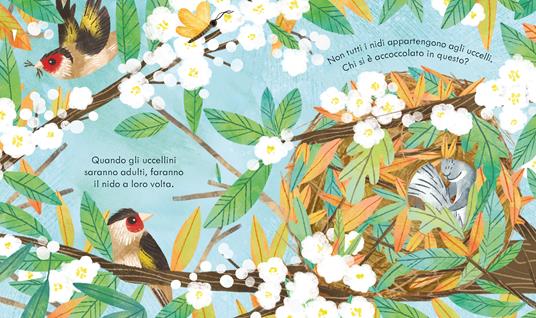 Nel nido. Ediz. a colori - Anna Milbourne - 4