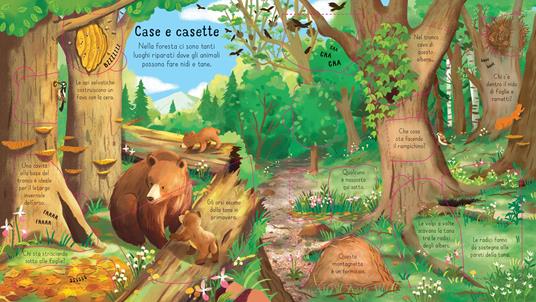 La foresta. Ediz. a colori - Minna Lacey - 4