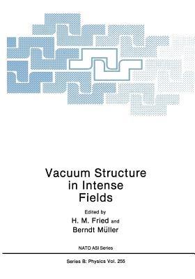 Vacuum Structure in Intense Fields - cover