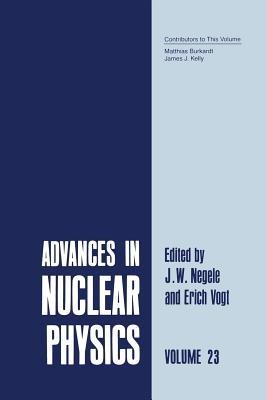 Advances in Nuclear Physics: Volume 23 - cover