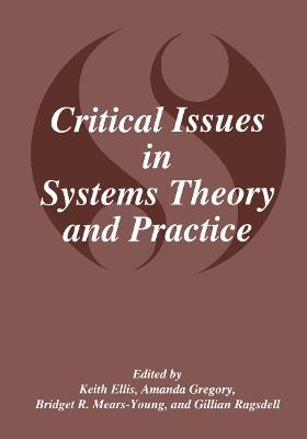 Critical Issues in Systems Theory and Practice - cover