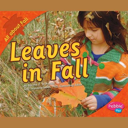 Leaves in Fall