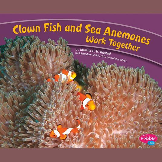 Clown Fish and Sea Anemones Work Together