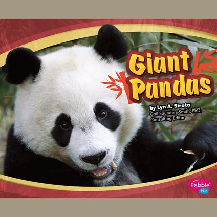 Giant Pandas