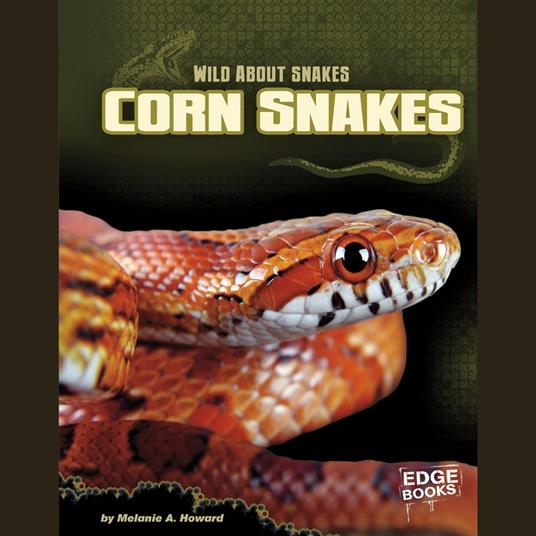 Corn Snakes