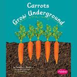 Carrots Grow Underground