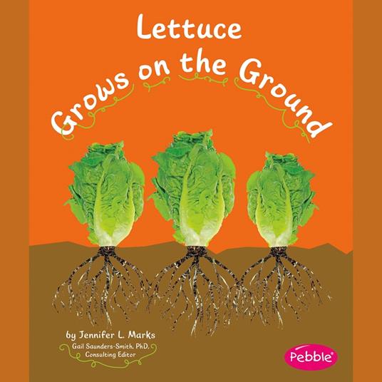 Lettuce Grows on the Ground