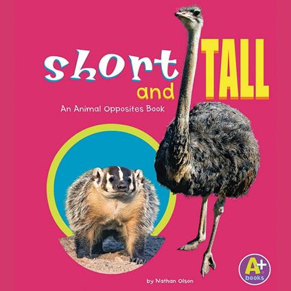 Short and Tall