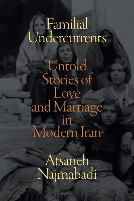 Familial Undercurrents: Untold Stories of Love and Marriage in Modern Iran - Afsaneh Najmabadi - cover