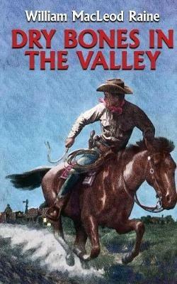 Dry Bones in the Valley - William MacLeod Raine - cover