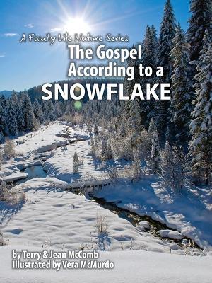 The Gospel According to a Snowflake - Terry McComb - cover