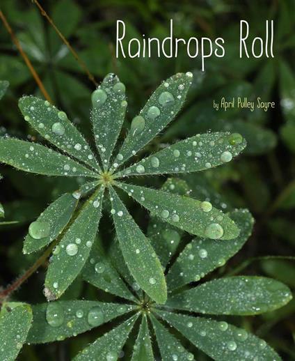 Raindrops Roll - April Pulley Sayre - ebook