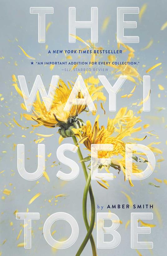 The Way I Used to Be - Amber Smith - ebook