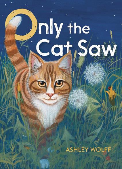 Only the Cat Saw - Ashley Wolff - ebook