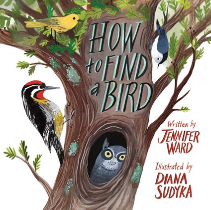 How to Find a Bird - Jennifer Ward,Diana Sudyka - ebook
