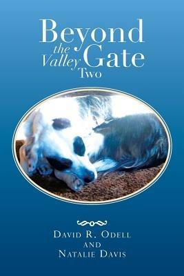 Beyond the Valley Gate Two - David R Odell,Natalie Davis - cover