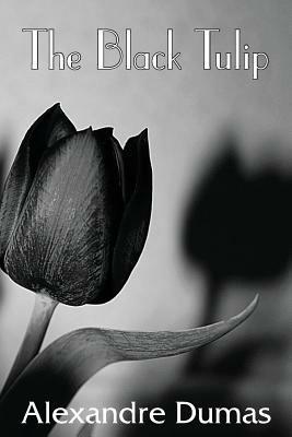 The Black Tulip - Alexandre Dumas - cover