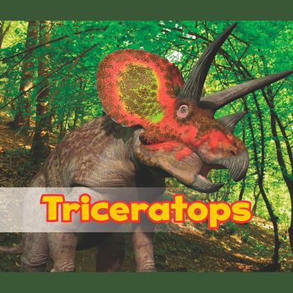 Triceratops