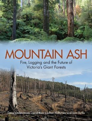 Mountain Ash: Fire, Logging and the Future of Victoria's Giant Forests - David Lindenmayer,David Blair,Lachlan McBurney - cover