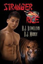 Stranger Rice