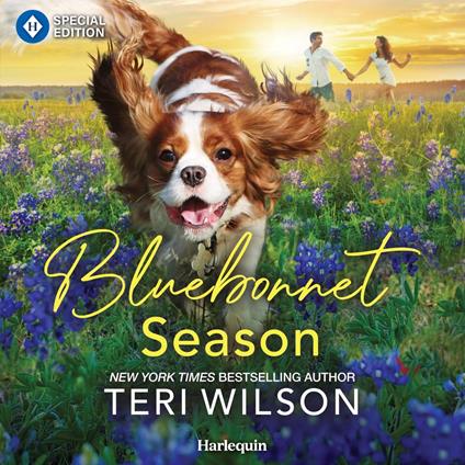 Bluebonnet Season